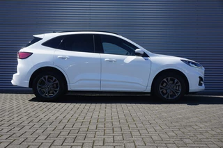 Ford Kuga - afbeelding nr 6