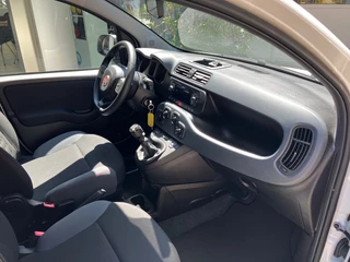 Fiat Panda Fiat Panda 1.2 Easy - afbeelding nr 9