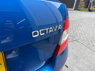 Škoda Octavia Skoda Octavia 1.4 TSI Greentech Elegance Businessline|Schuifdak| - afbeelding nr 12