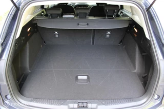 Ford Focus Ford Focus Wagon 1.0 EcoBoost Titanium Business 125 PK, Stuur/stoel verwarming, Pdc voor + achter, Full led, Keyless entry, Donkerglas, App connect, Cruise, Navi, Clima, 17 inch Lmv. - afbeelding nr 12