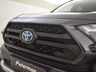 Toyota RAV4 - afbeelding nr 9