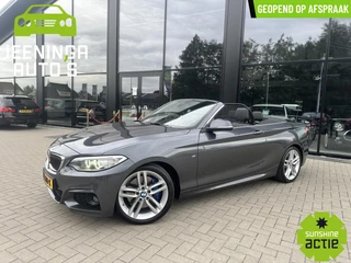 BMW 2 Serie Cabrio 220i M pakket |Clima|Stoelverwarming|Trekhaak|Leer|Navi