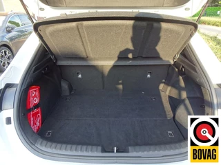 Kia XCeed Kia XCeed 1.6 GDi PHEV DynamicPlusLine Stoel stuurverwarming, Trekhaak !!! - afbeelding nr 11