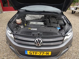Volkswagen Tiguan - afbeelding nr 40