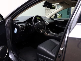 Lexus NX - afbeelding nr 3