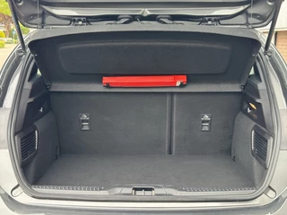 Ford Focus - afbeelding nr 10