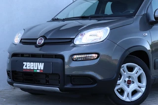 Fiat Panda - afbeelding nr 3