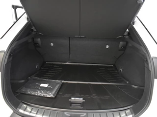 Lexus RZ Lexus RZ 450e Executive Line | Pano dak | Premium Pack - afbeelding nr 21