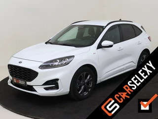 Ford Kuga - 384407721-0