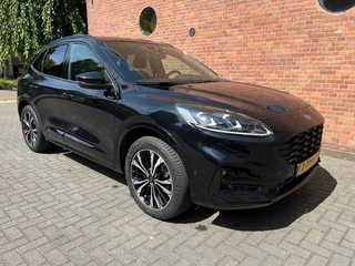 Ford Kuga - 447542046-0
