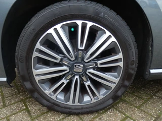 SEAT Ibiza - afbeelding nr 6