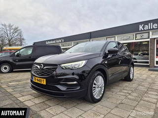 Opel Grandland X 1.2 Turbo Online Edition, D-Riem vervangen!