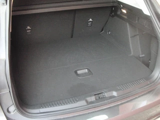 Ford Focus - afbeelding nr 6