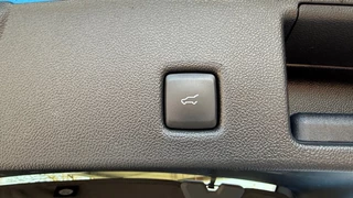 Ford Kuga - afbeelding nr 14