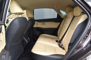 Lexus NX Lexus NX 300H AWD LUXURY LINE, Camera, Cruise - afbeelding nr 12