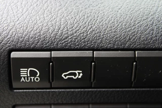 Lexus RX Lexus RX 450h 4WD Luxury Line Panorama dak - afbeelding nr 32