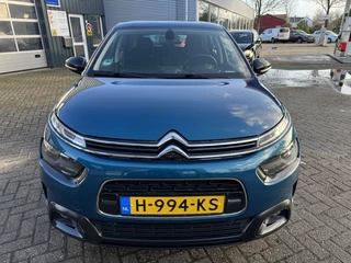 Citroën C4 Cactus - afbeelding nr 9