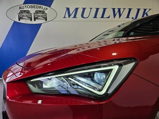 SEAT Leon - afbeelding nr 14