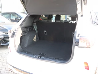 Ford Kuga - afbeelding nr 7