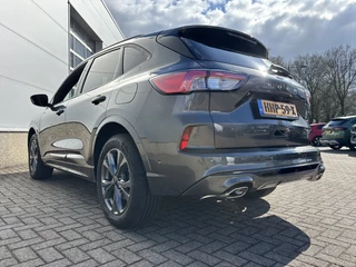 Ford Kuga - afbeelding nr 10