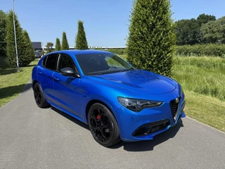 Alfa Romeo Stelvio Alfa Romeo Stelvio 2.0 T Q4 Veloce My24!! Blu Misano! 21inch - afbeelding nr 8