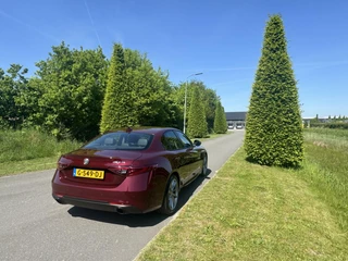 Alfa Romeo Giulia Alfa Romeo Giulia 2.0T 310pk, super netjes!! Veel opties!! - afbeelding nr 19