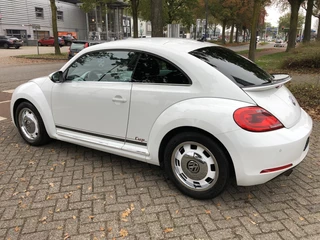 Volkswagen Beetle - afbeelding nr 7