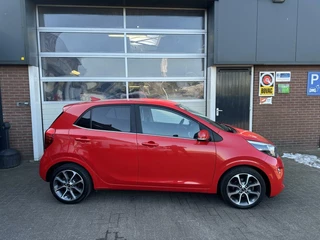 Kia Picanto Kia Picanto 1.0 CVVT Colour Edition *ALL-IN PRIJS* - afbeelding nr 2