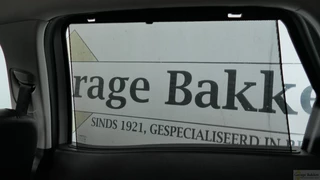 Renault Scénic - afbeelding nr 22