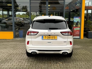 Ford Kuga - afbeelding nr 8