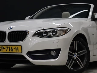 BMW 2 Serie BMW 2 Serie Cabrio 220i High Executive [CAMERA, VOL LEDER, STOELVERWARMING, PDC V+A, BLUETOOTH, CRUISE, CLIMATE, NIEUWSTAAT] - afbeelding nr 20