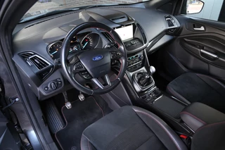 Ford Kuga Ford Kuga 1.5 EcoBoost ST Line Navi Xenon - afbeelding nr 6