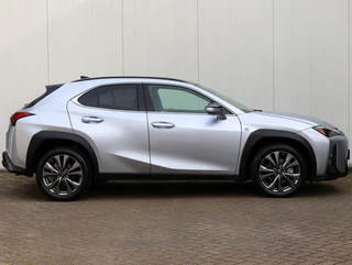 Lexus UX - afbeelding nr 6