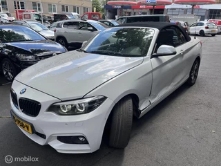 BMW 2 Serie BMW 2-serie Cabrio 220i High Executive/AUT/Leder/SCHADE!!! - afbeelding nr 11