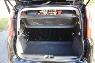 Fiat Panda - afbeelding nr 15