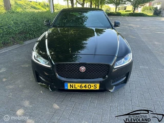 Jaguar XF Jaguar XF 2.0d Corporate Edition R-Sport, Groot O.H. Lees - afbeelding nr 9