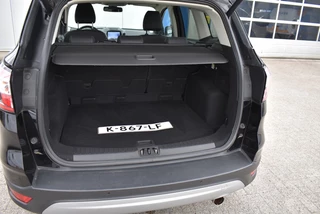 Ford Kuga - afbeelding nr 8
