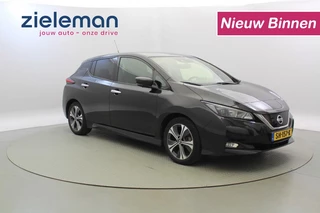 Nissan Leaf - afbeelding nr 1