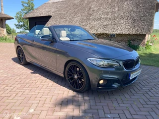 BMW 2 Serie BMW 2-serie Cabrio 220i M Sport Automaat HET DAK MAG ERAF ! - afbeelding nr 3