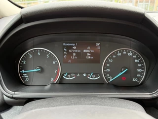 Ford EcoSport Ford EcoSport 1.0 EcoBoost Titanium Navi Camera Stoelverw. - afbeelding nr 12