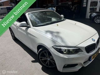 BMW 2 Serie BMW 2-serie Cabrio 220i High Executive/AUT/Leder/SCHADE!!! - afbeelding nr 2