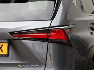 Lexus NX - afbeelding nr 45