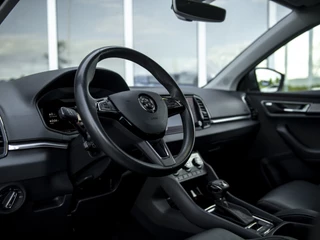 Škoda Karoq | Leer | Navi  & App-Connect | 18
