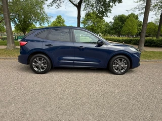 Ford Kuga - 474912619-0