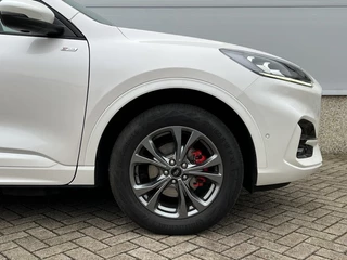 Ford Kuga - afbeelding nr 7