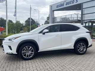 Lexus NX Panoramadak Navigatie Adaptive Cruise Control Leder Carplay Elek Stoelen + Verwarming Camera DAB Hybride Lage Kilometerstand - afbeelding nr 2