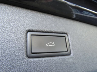 Volkswagen Tiguan - afbeelding nr 31