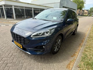 Ford Kuga - afbeelding nr 7