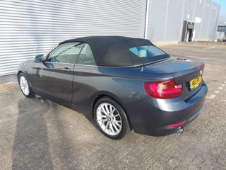 BMW 2 Serie BMW 2-serie Cabrio 218i High Executive, airco,navigatie,stoelverwarming,parkeersensoren,cruisecontrol, - afbeelding nr 11