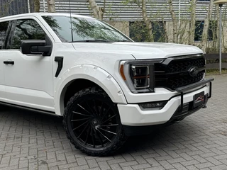 Ford F-150 Ford F-150 Usa F-150 PLATINUM 4X4 3.5 Eco Boost LPG - afbeelding nr 2